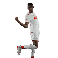Fc Cologne Bundesliga Sticker by 1. FC Köln