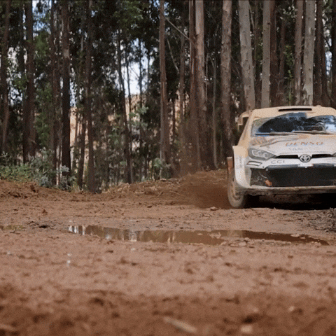 Drifting Toyota Yaris GIF by FIA World Rally Championship