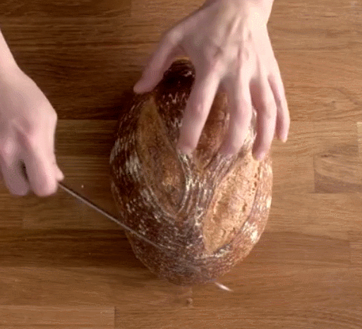 bread GIF
