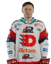 Hockey Czech Sticker by HC Dynamo Pardubice