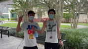 Usf Bulls GIF by University of South Florida