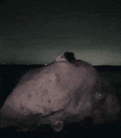 New York Boulder GIF by carla grace