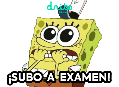 Car Aprobado Sticker by Dribo