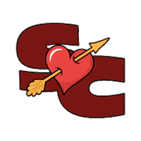 Skycampheart Sticker by Sky Camp