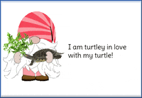 Gnome Turtles GIF