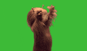 saludo greeting GIF by Yoigo