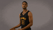GIF by Cal State LA Golden Eagles