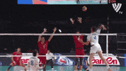 Power Yes GIF by Volleyball World