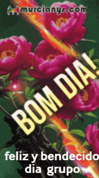 Feliz Amigos GIF by Murcianys LLC