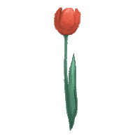 Virtual Bouquet Sticker by Hello Flowers！