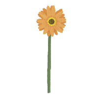 Virtual Bouquet Sticker by Hello Flowers！