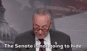 Chuck Schumer Gun Violence GIF by GIPHY News