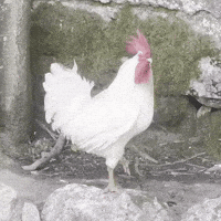 What Are You Looking At GIF by Mike Tuck