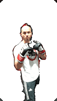 boxing Sticker by Pittsburgh Punch