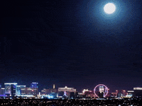 VisitLasVegas vegas las vegas skyline bellagio GIF