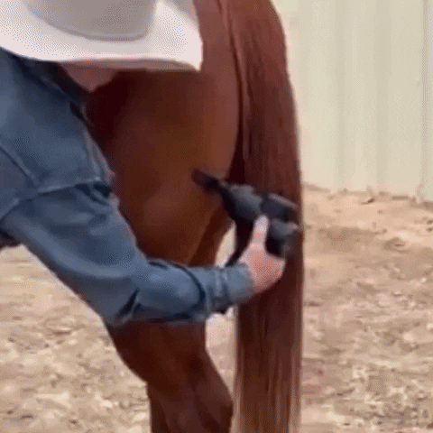 samwhite011a giphygifmaker GIF