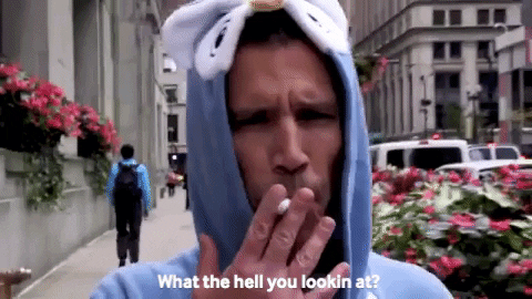 angry what are you looking at GIF by Man Of The People with Pat Tomasulo