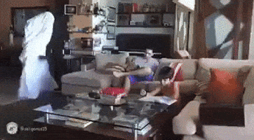 ghost prank unexpected GIF
