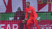 Save Timo Horn GIF by 1. FC Köln