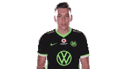 E Sports Sport Sticker by VfL Wolfsburg