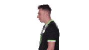 E Sports Sport Sticker by VfL Wolfsburg