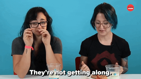Getting Along GIF by BuzzFeed