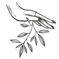 Flores Floreria Sticker by Artisteria