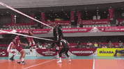 Canada Save GIF by Volleyball World