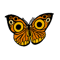 Happy Animation Sticker