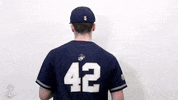 Navy Baseball GIF by Navy Athletics