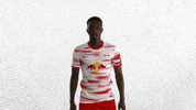 Whats Going On What GIF by RB Leipzig