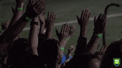 GVLTriumph clap usl greenville usl league one GIF