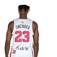 Basketball Sticker by JL Bourg