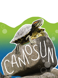 GIF by Camosun
