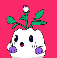 Happy Lets Go GIF by Magic Eden