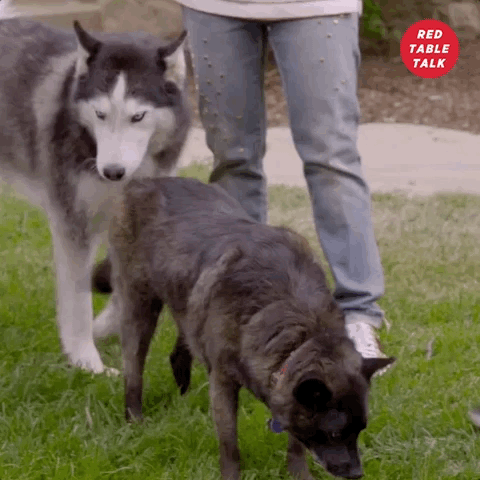 jada pinkett smith GIF by Red Table Talk