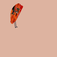 jessicacho1246 what bird owl 새 GIF
