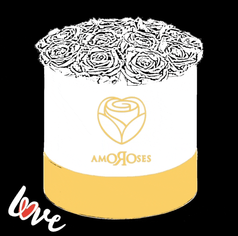 Amoroses giphyattribution love rose whiterose GIF