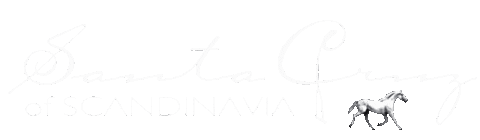 Santacruz Sticker by santacruzofscandinavia