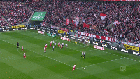 2. bundesliga football GIF by 1. FC Köln