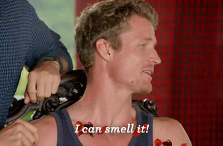 richie i can smell it GIF by The Bachelor Australia