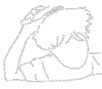 Kokupunomaguro Sticker