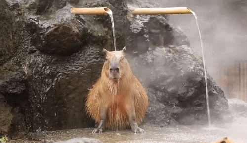 time bath GIF