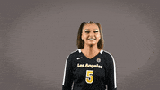 Volleyball Calstatela GIF by Cal State LA Golden Eagles
