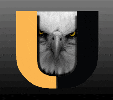 Goeagles Uhs GIF by UHSFerndale