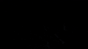 concretehumanity fashion logo clothing ch GIF