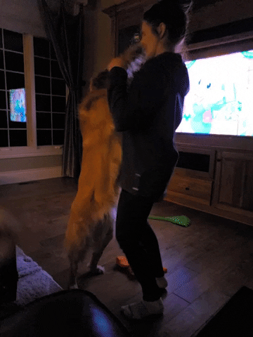 michellemmn325 giphyupload GIF