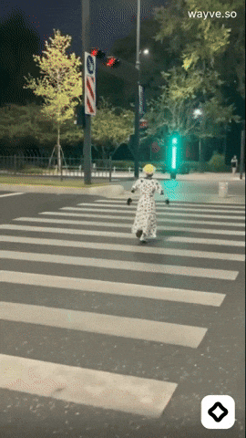 Mood Feels GIF by Darwin