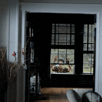 thesociety netflix society the society GIF