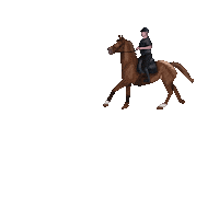 thedrawinghorse jump horse horse jump Sticker